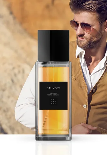 Sauvegy