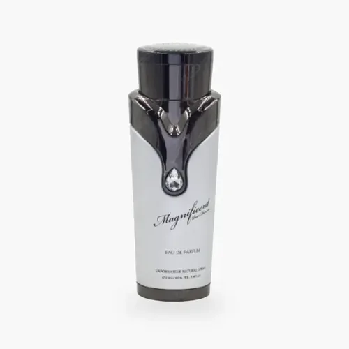 Magnificent Pour Homme