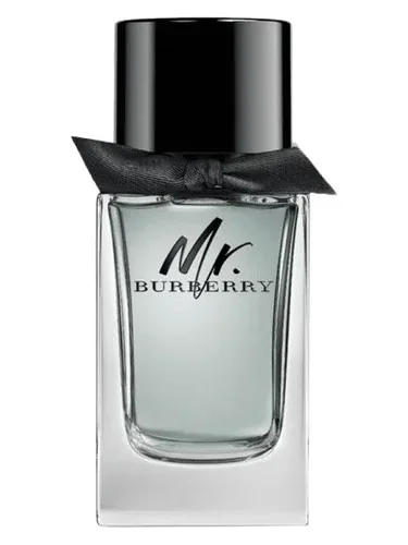 Mr. Burberry