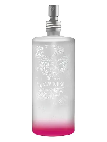 Rosa & Fava Tonka