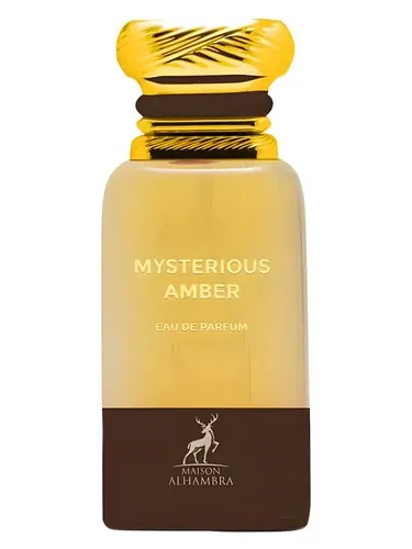 Mysterious Amber