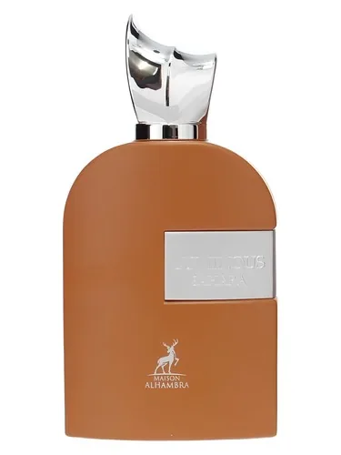 Luminous Sahara