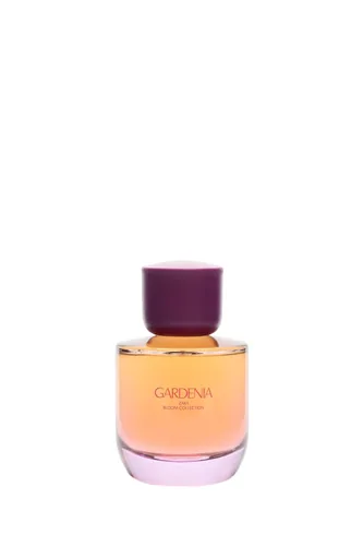 Gardenia de Zara, contratipo com 85% de similaridade