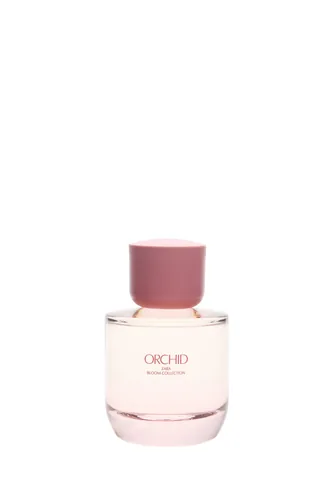 Orchid de Zara, contratipo com 70% de similaridade