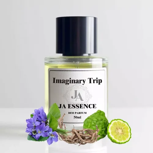 Imaginary Trip